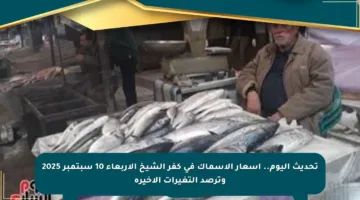 تحديث اليوم.. أسعار الأسماك في كفر الشيخ الأربعاء 10 سبتمبر 2025 وترصد التغيرات الأخيرة